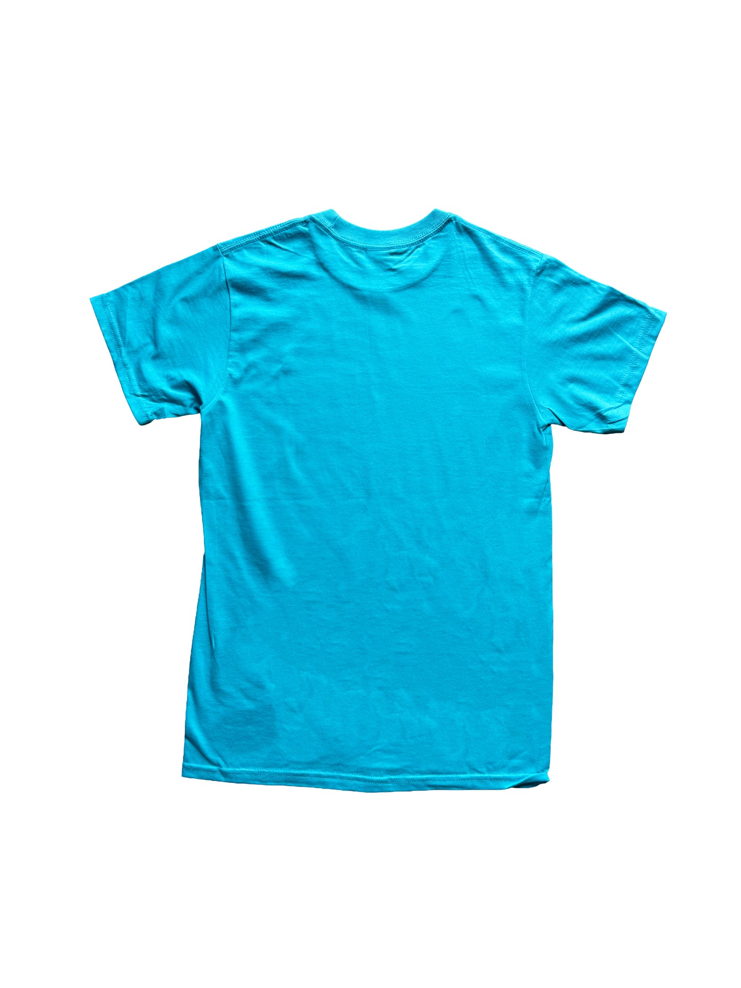 Fantasy - Teal
